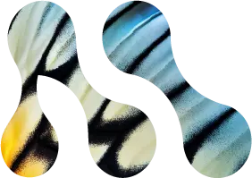 Morph Collective logo